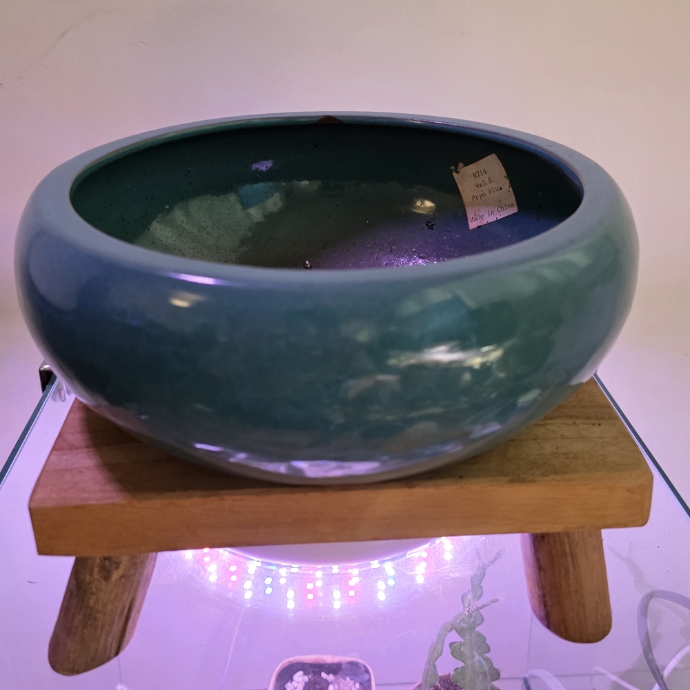 Teal Ceramic Planter